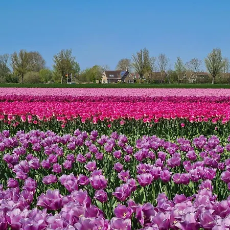 575 Op Recreatiepark De Wielen Chalet *