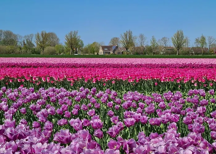 575 Op Recreatiepark De Wielen Alpehytte *